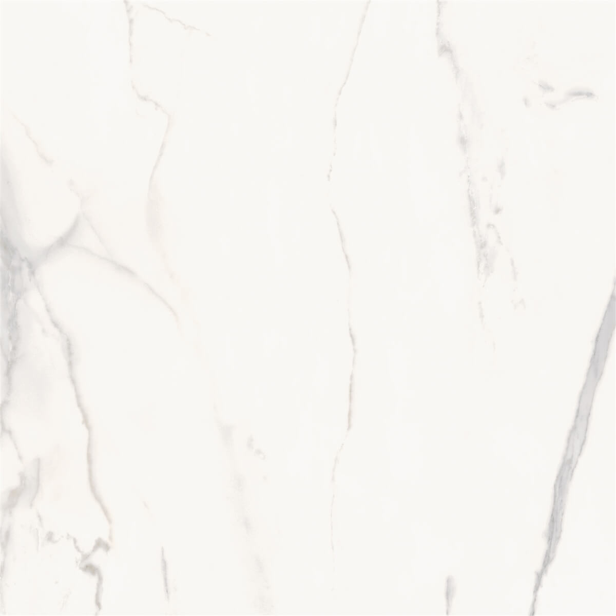 P19817_3 Fliese Royal Marble Marble 60X60 cm – Bild 1