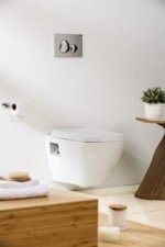 SPA Betätigungsplatte 2-Mengentechnik Breite 24,5 cm Farbe: Chrom Glanz – Bild 2